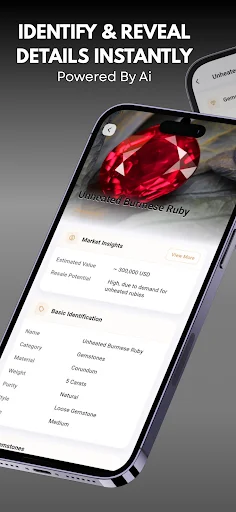 Download Jewelry Identifier Terbaru – Cek Batu Permata Gratis - Screenshot 2